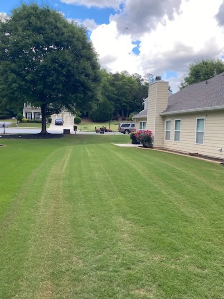 Affordable lawn care service experts serving Union City, GA - D Hayes Services