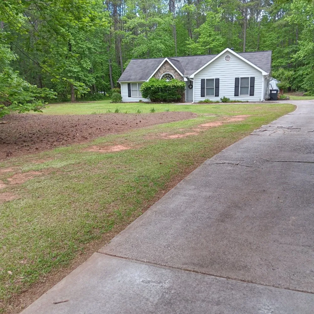 Professional yard cleanup service for year-round maintenance in Union City, GA by D Hayes Services