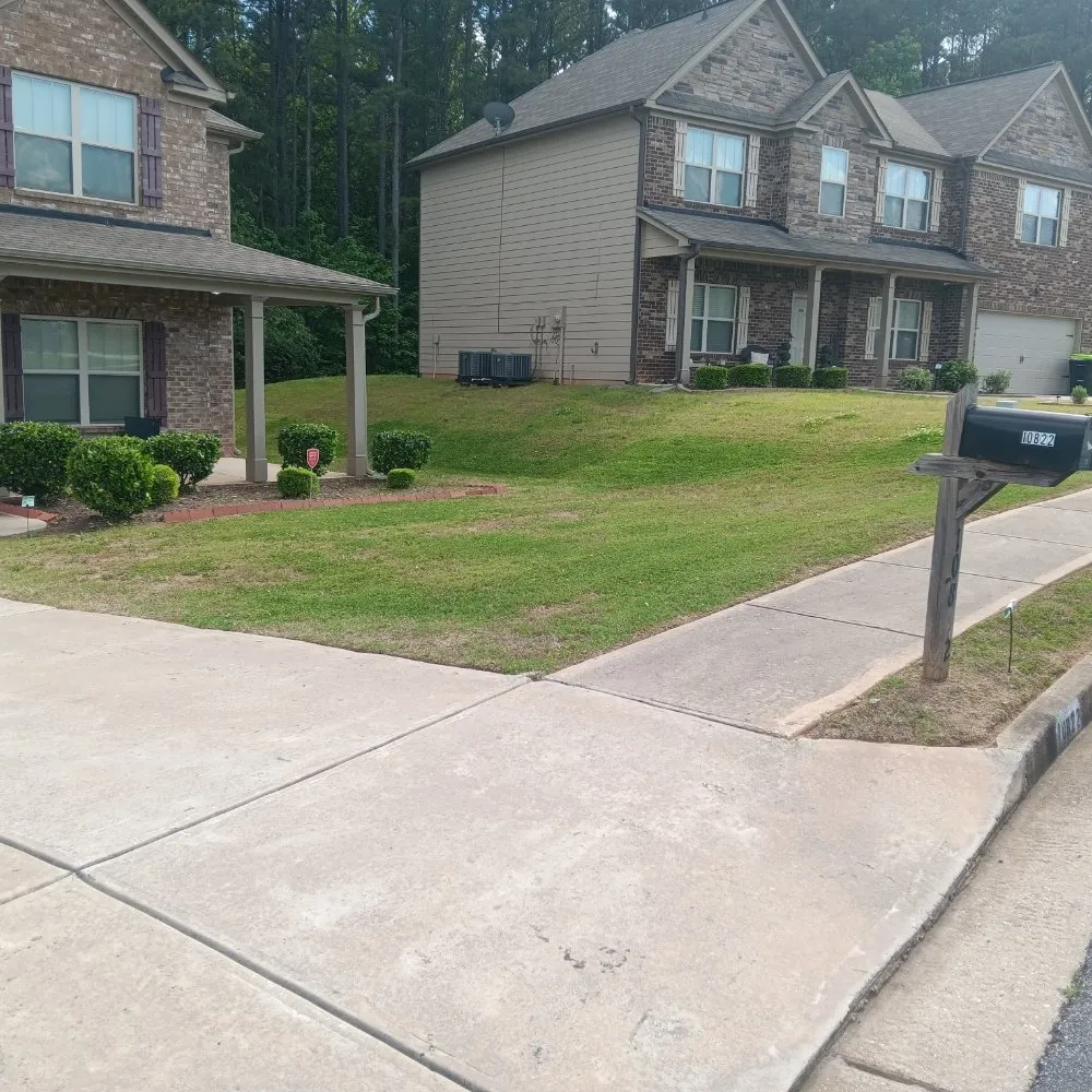 Local yard cleanup service experts serving Union City, GA - D Hayes Services