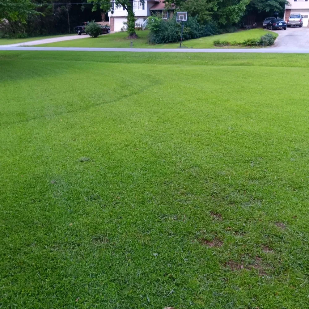 Trusted yard cleanup service for homes in Union City, GA by D Hayes Services