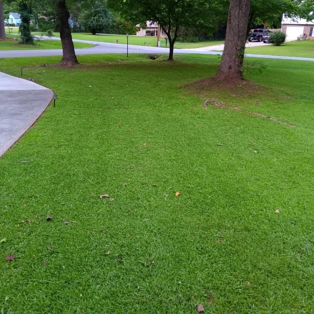 Professional garden landscaping in Union City, GA - D Hayes Services