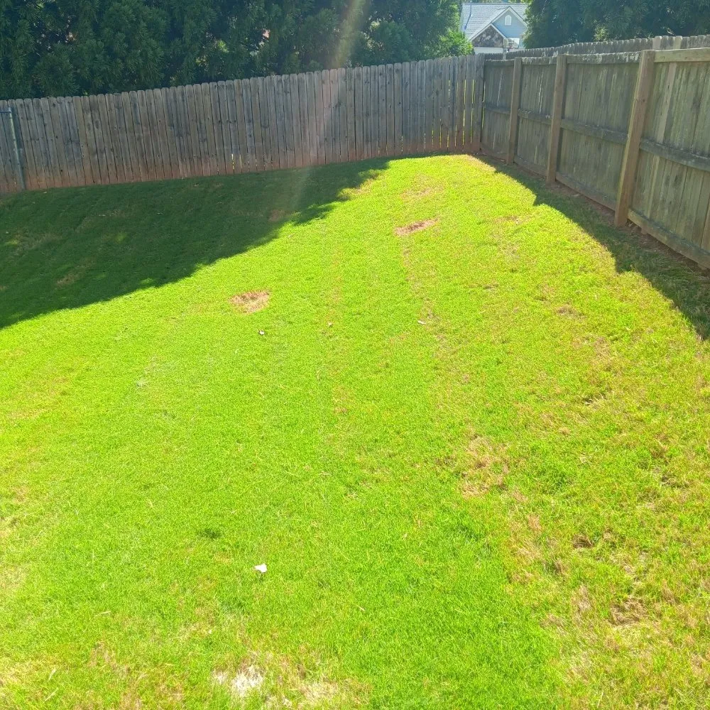 Top-rated lawn care service experts serving Union City, GA - D Hayes Services
