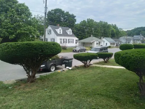 Custom yard cleanup service in Staunton, VA - D I R Landscape