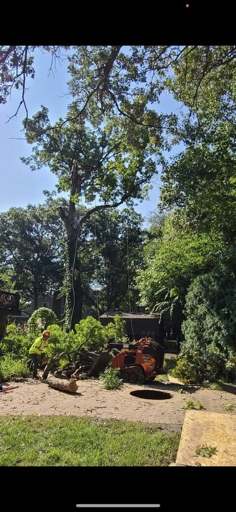Trusted landscape installation in Aurora, IL - D I Tree Removal And Trimming
