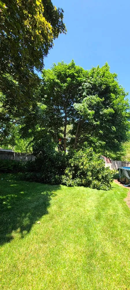 Local lawn care service for outdoor upgrades in Aurora, IL by D I Tree Removal And Trimming