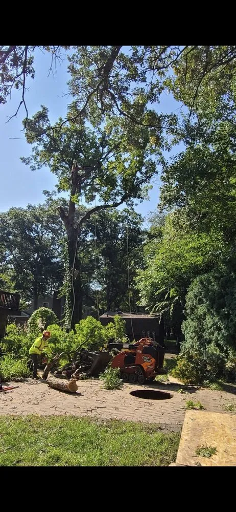 Trusted yard cleanup service in Aurora, IL by D I Tree Removal And Trimming