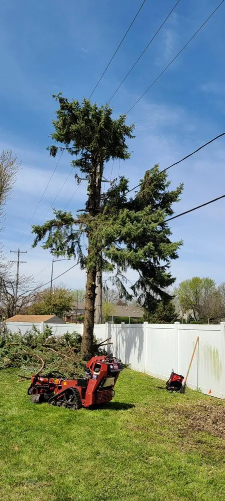 Affordable lawn care service for homes in Aurora, IL by D I Tree Removal And Trimming