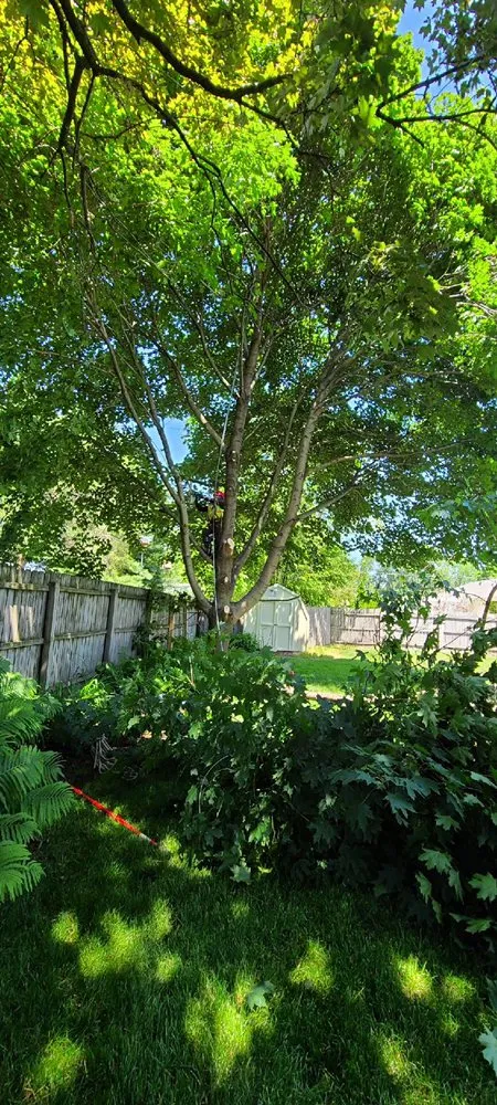 Custom garden landscaping in Aurora, IL by D I Tree Removal And Trimming