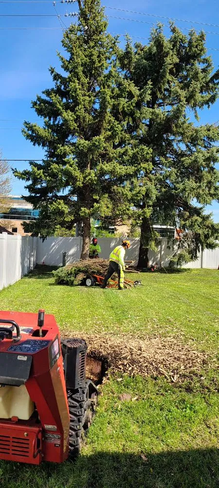 Local lawn mowing service for residential properties across Aurora, IL - D I Tree Removal And Trimming