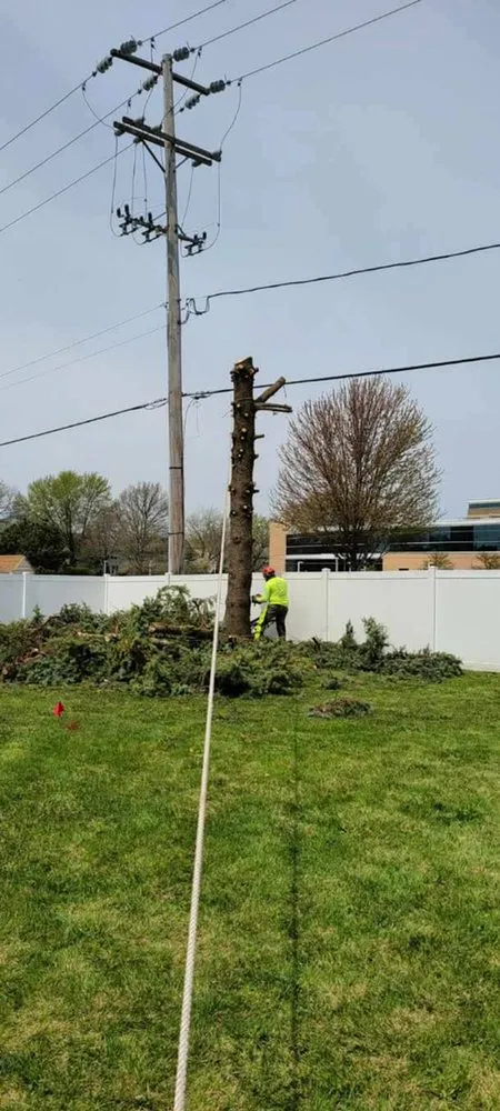 Custom landscaping services experts serving Aurora, IL - D I Tree Removal And Trimming