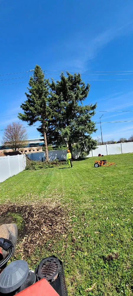 Custom landscape installation for year-round maintenance across Aurora, IL - D I Tree Removal And Trimming