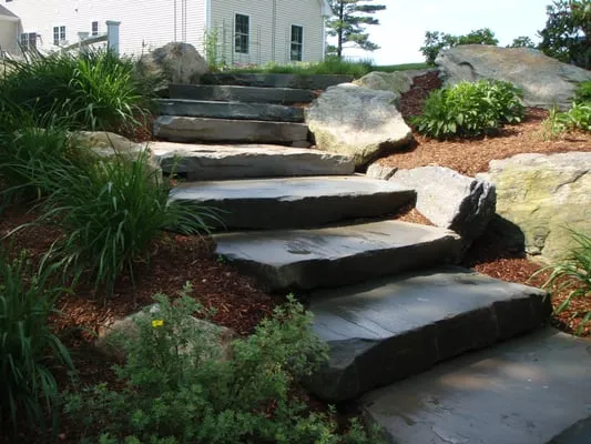 D J Salmon Lawn & Landscape Logo