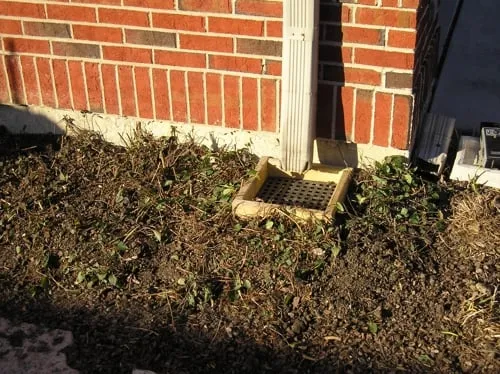 Reliable yard maintenance in Northbrook, IL by D. Jakubek & Associates