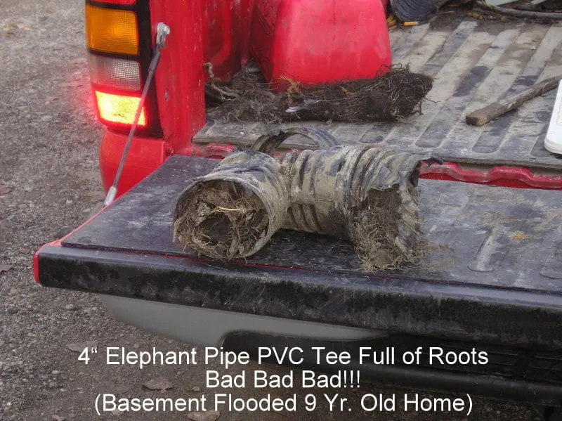 Reliable landscaping services in Northbrook, IL - D. Jakubek & Associates