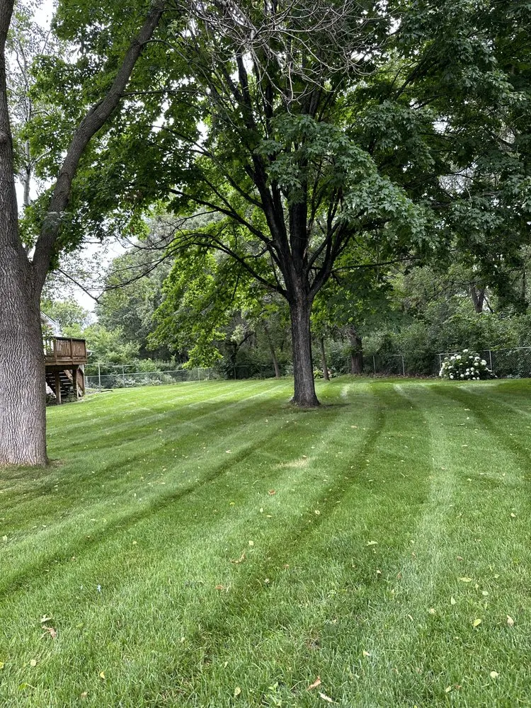 Custom landscaping services in Champlin, MN by D Jess Property Services