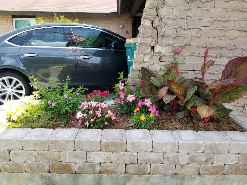 Custom lawn care service for homes across New Braunfels, TX - D K Landscaping