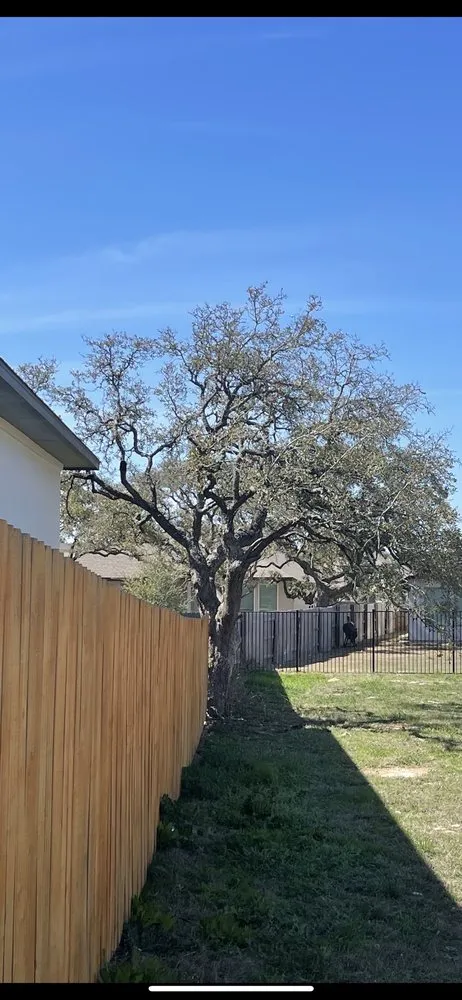 Local lawn care service in New Braunfels, TX by D K Landscaping