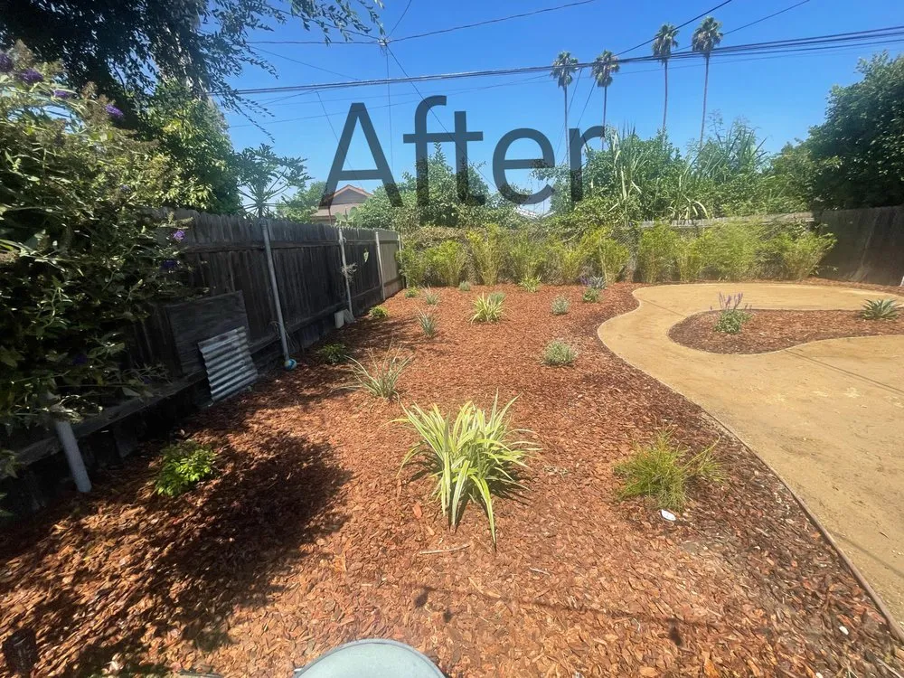 Reliable residential landscaping in Pacoima, CA by D Landscape & Hardscape