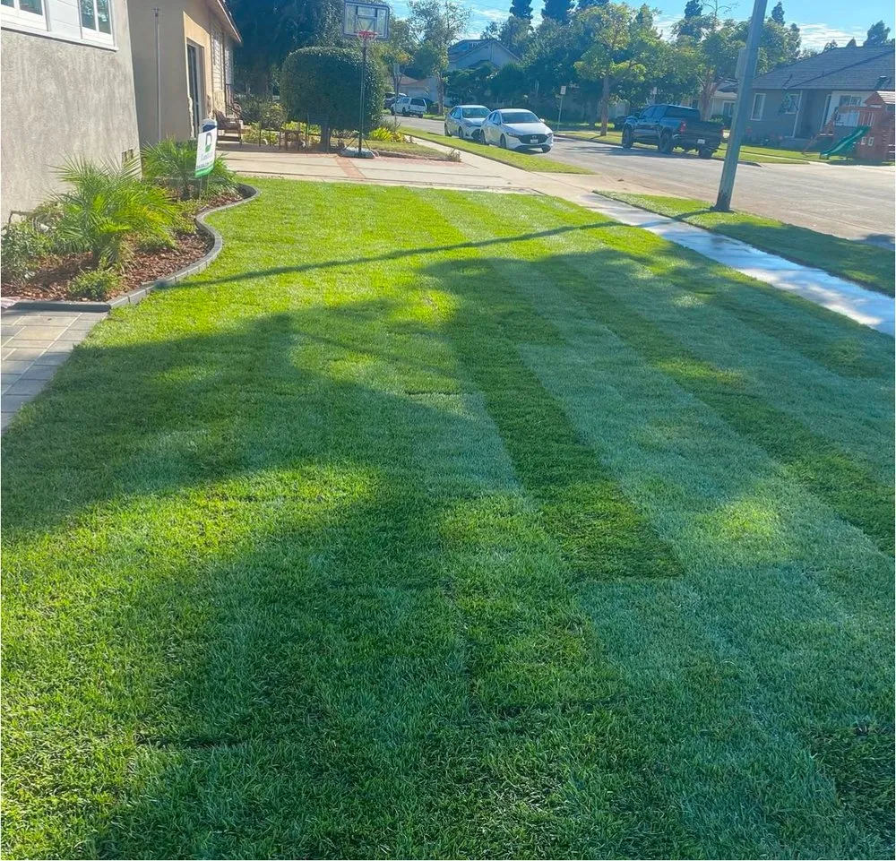 Reliable landscaping services experts serving Pacoima, CA - D Landscape & Hardscape