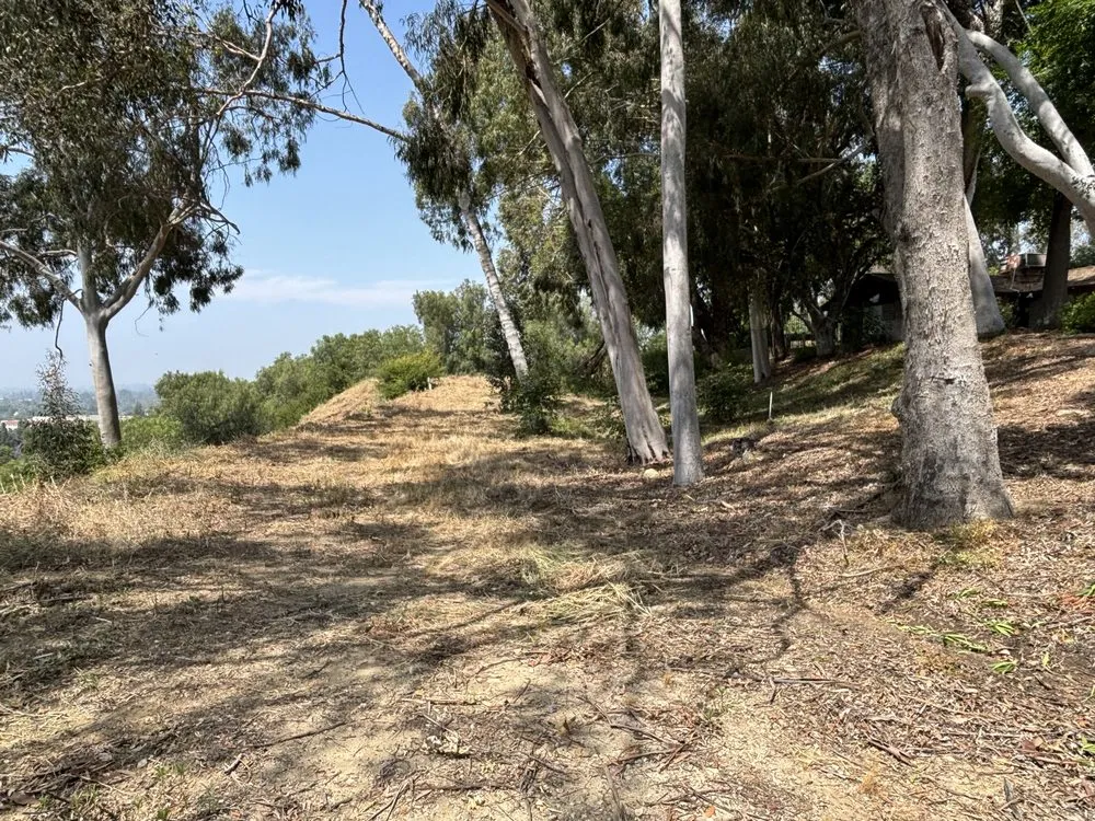Local landscaping services in Pacoima, CA by D Landscape & Hardscape