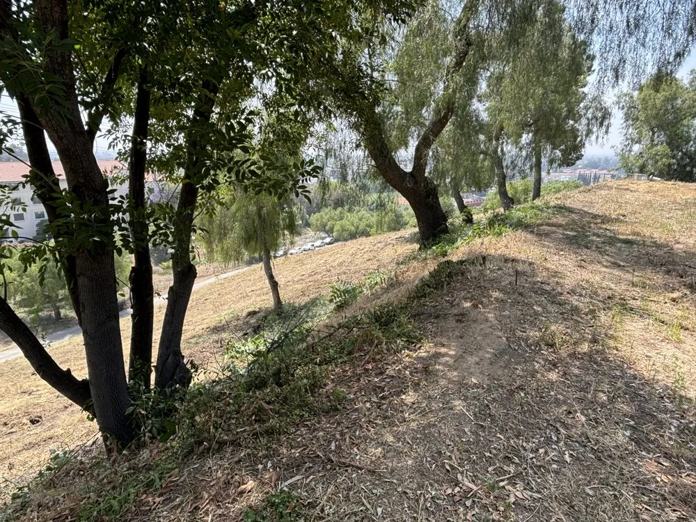 Expert landscaping services in Pacoima, CA - D Landscape & Hardscape