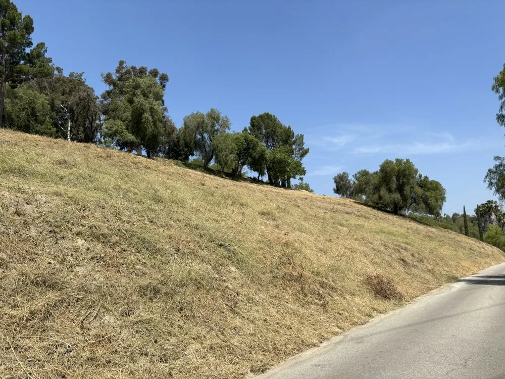 Reliable lawn care service for homes across Pacoima, CA - D Landscape & Hardscape
