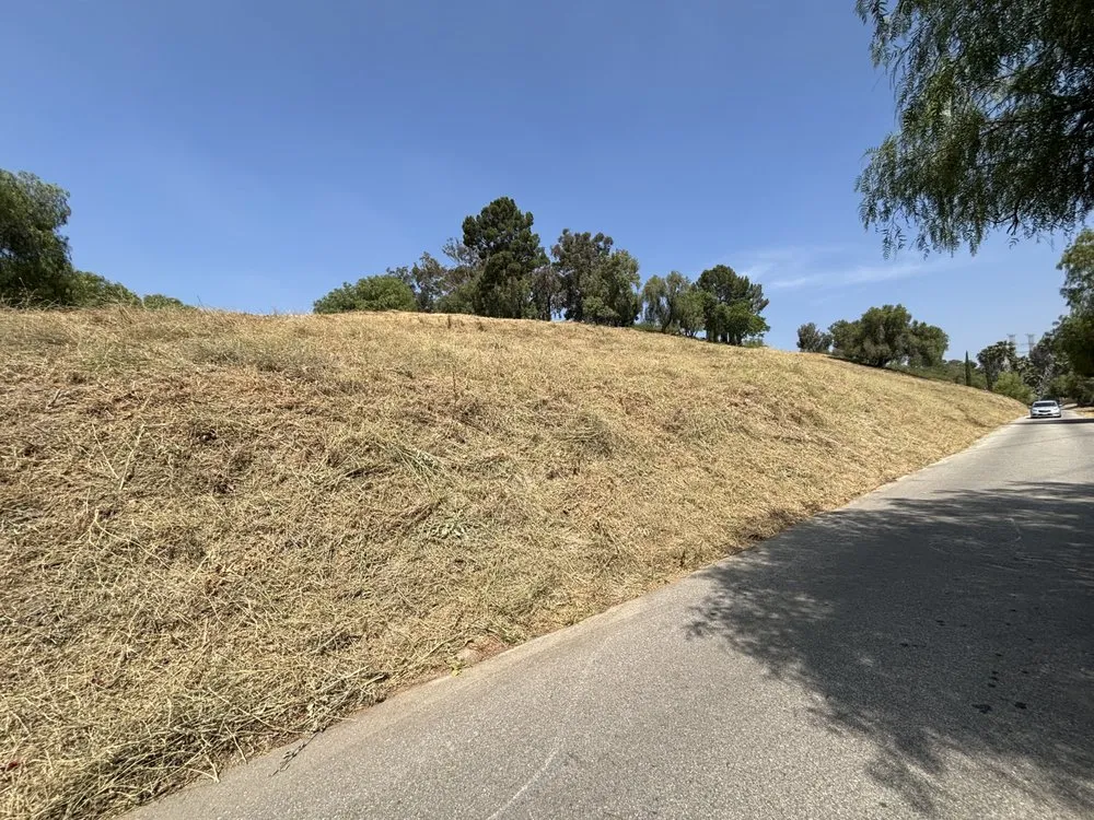 Professional lawn care service in Pacoima, CA by D Landscape & Hardscape