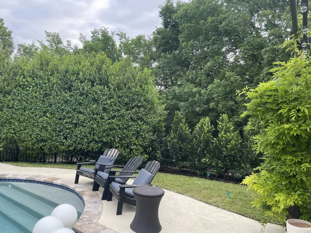 Trusted lawn care service in Dallas, TX by D Landscape