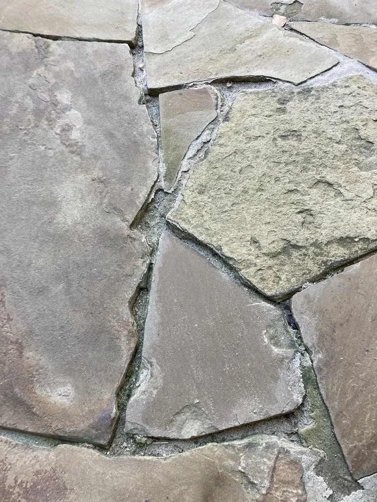 Professional residential landscaping for year-round maintenance in Dallas, TX by D Landscape