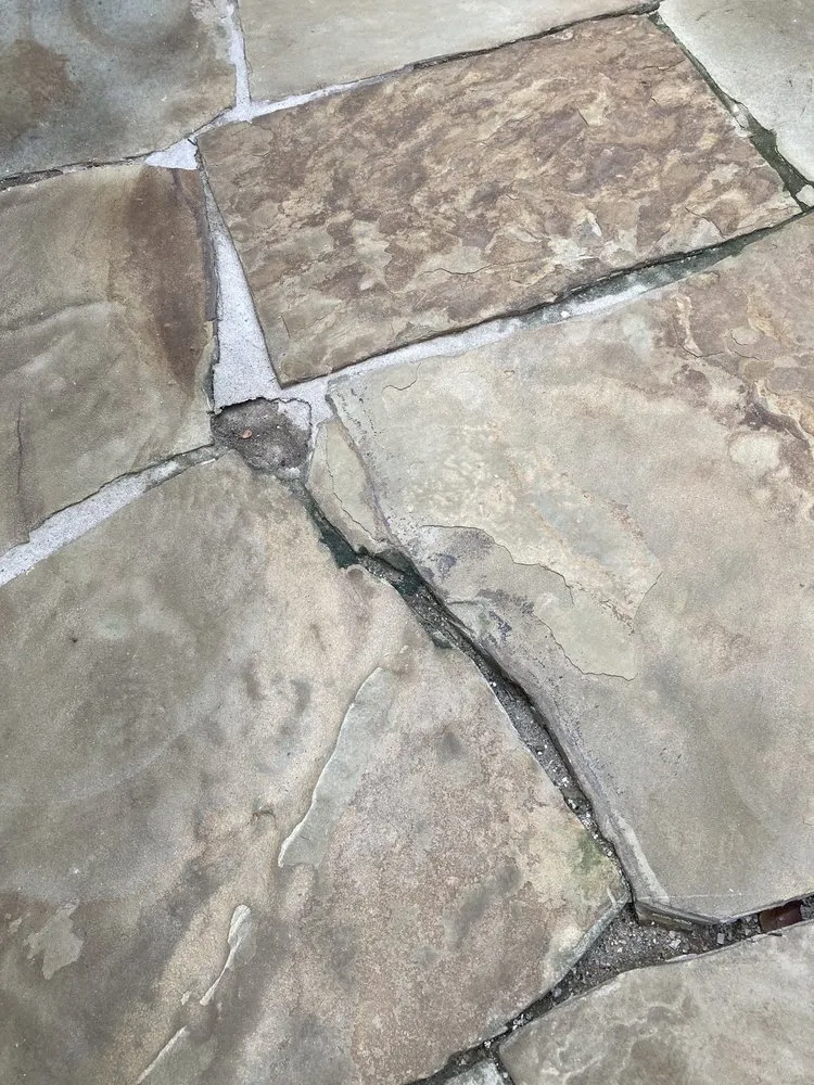 Top-rated yard cleanup service in Dallas, TX by D Landscape