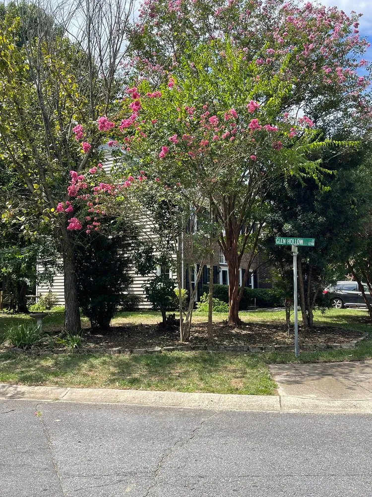 Professional landscape installation experts serving Gastonia, NC - D Latorre Solutions