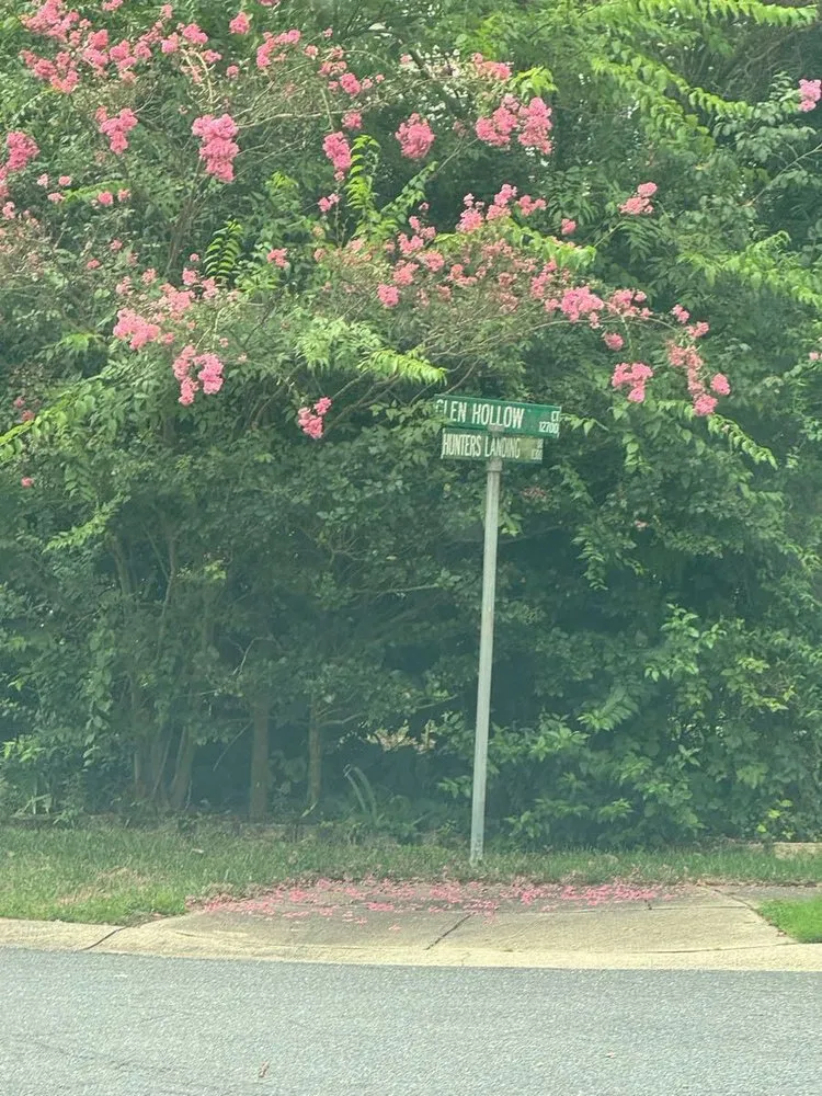 Top-rated landscaping services with custom design in Gastonia, NC by D Latorre Solutions