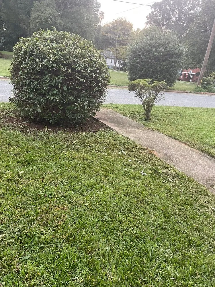 Top-rated landscape installation in Gastonia, NC - D Latorre Solutions