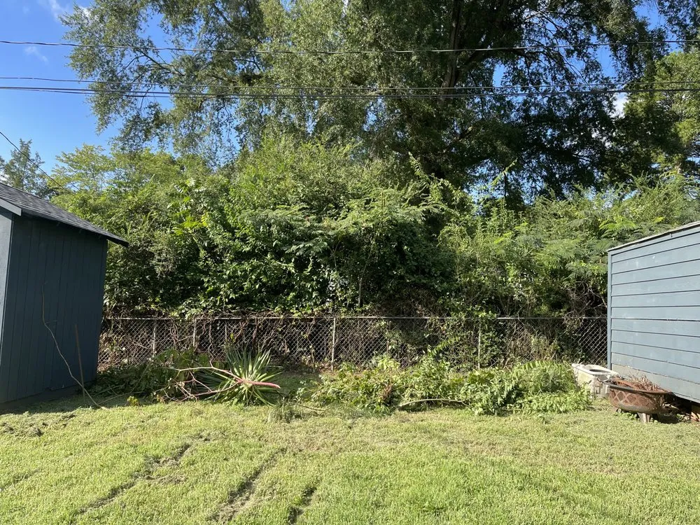 Reliable garden landscaping for residential properties across Gastonia, NC - D Latorre Solutions