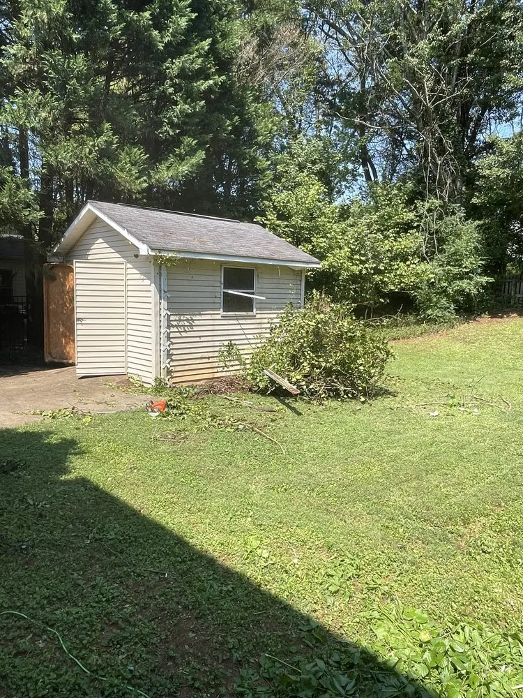 Professional outdoor landscaping for outdoor upgrades in Gastonia, NC by D Latorre Solutions