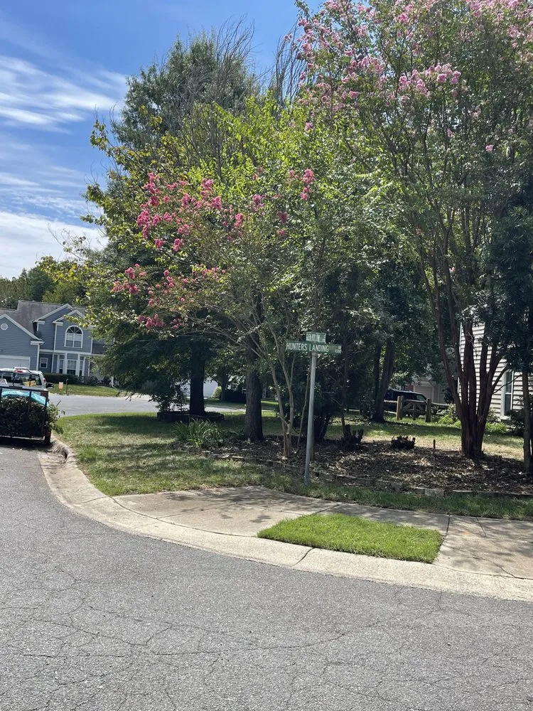 Expert landscape installation in Gastonia, NC - D Latorre Solutions