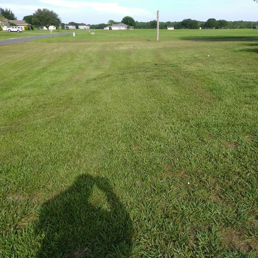 Trusted lawn mowing service in Avon Park, FL by D Lawn Care