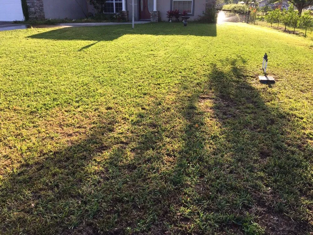 Reliable outdoor landscaping in Avon Park, FL by D Lawn Care