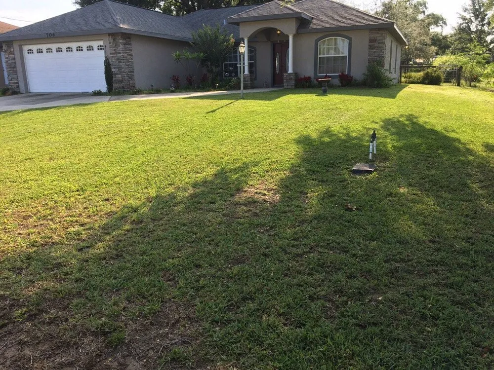 Professional outdoor landscaping experts serving Avon Park, FL - D Lawn Care