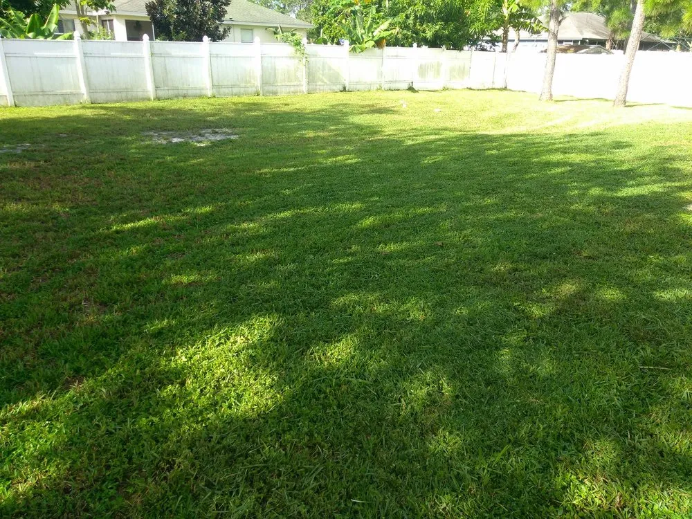 Affordable garden landscaping in Avon Park, FL by D Lawn Care