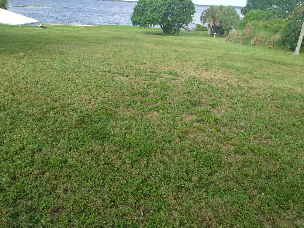 Professional landscaping services with custom design across Avon Park, FL - D Lawn Care