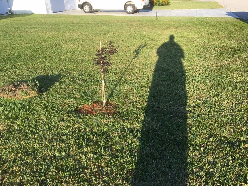 Expert landscape design in Avon Park, FL - D Lawn Care