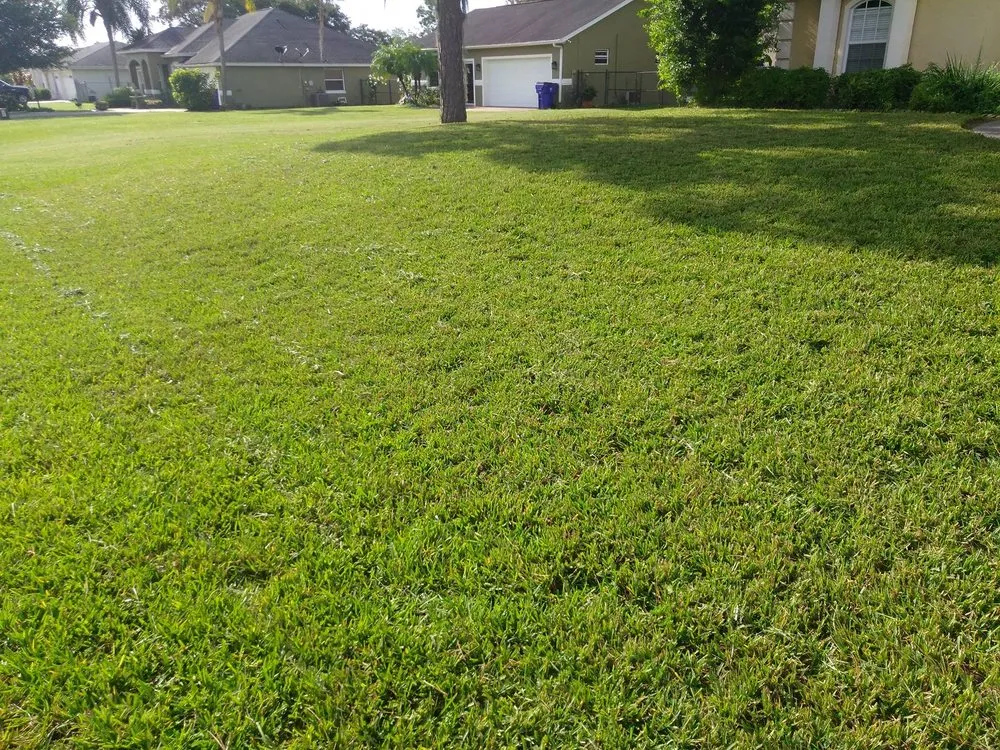 Reliable lawn care service in Avon Park, FL by D Lawn Care