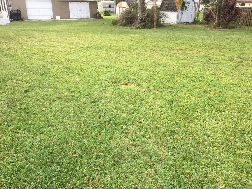 Local landscape installation experts serving Avon Park, FL - D Lawn Care
