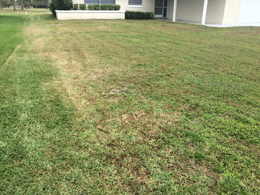 Custom residential landscaping in Avon Park, FL by D Lawn Care