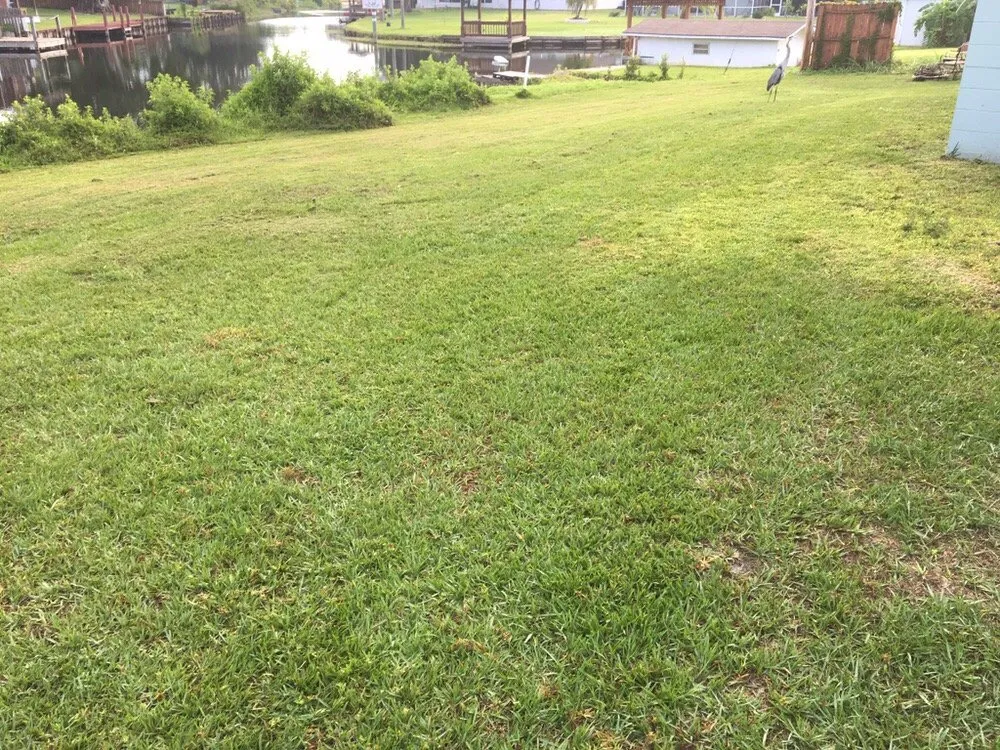 Expert landscaping services experts serving Avon Park, FL - D Lawn Care