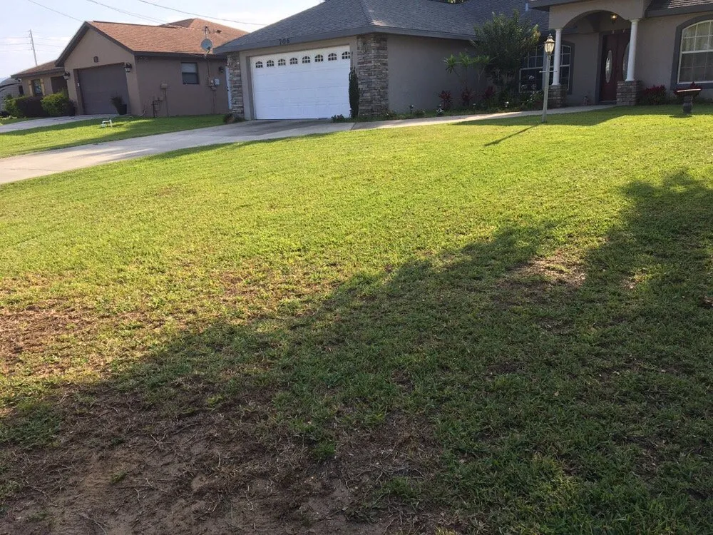 Expert lawn care service in Avon Park, FL - D Lawn Care