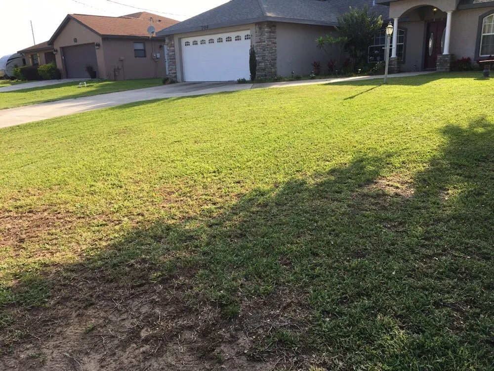 Top-rated garden landscaping in Avon Park, FL by D Lawn Care