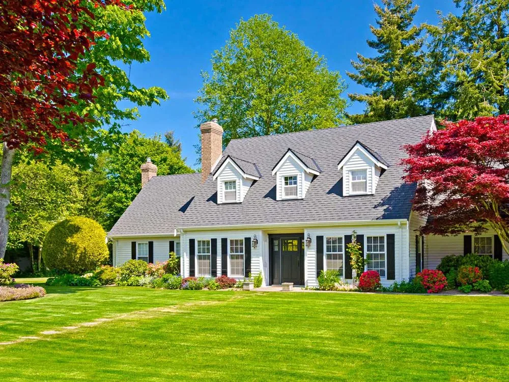 Top-rated yard maintenance in Lubbock, TX - D Lawn Service