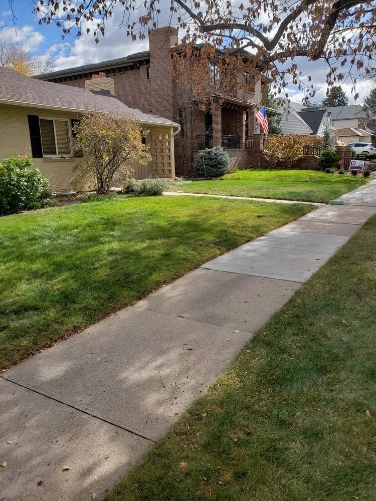 Custom yard cleanup service for homes in Denver, CO by D Lawn Services